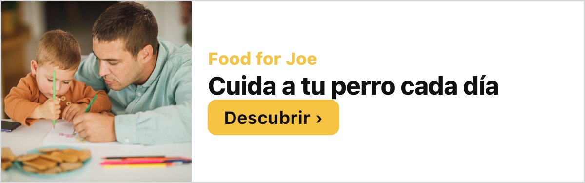 Food for Joe