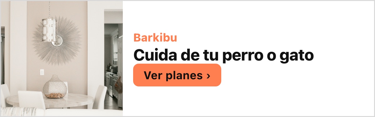 Barkibu