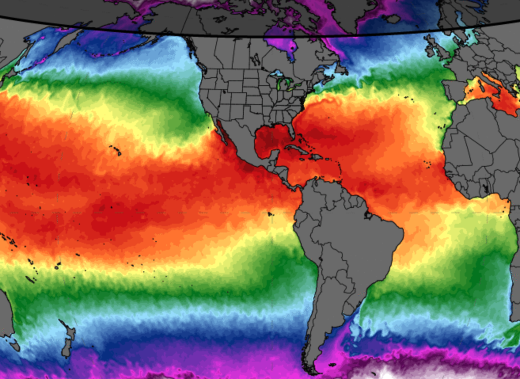 El Niño golpea a España por donde menos la vemos: la cadena global de alimentos