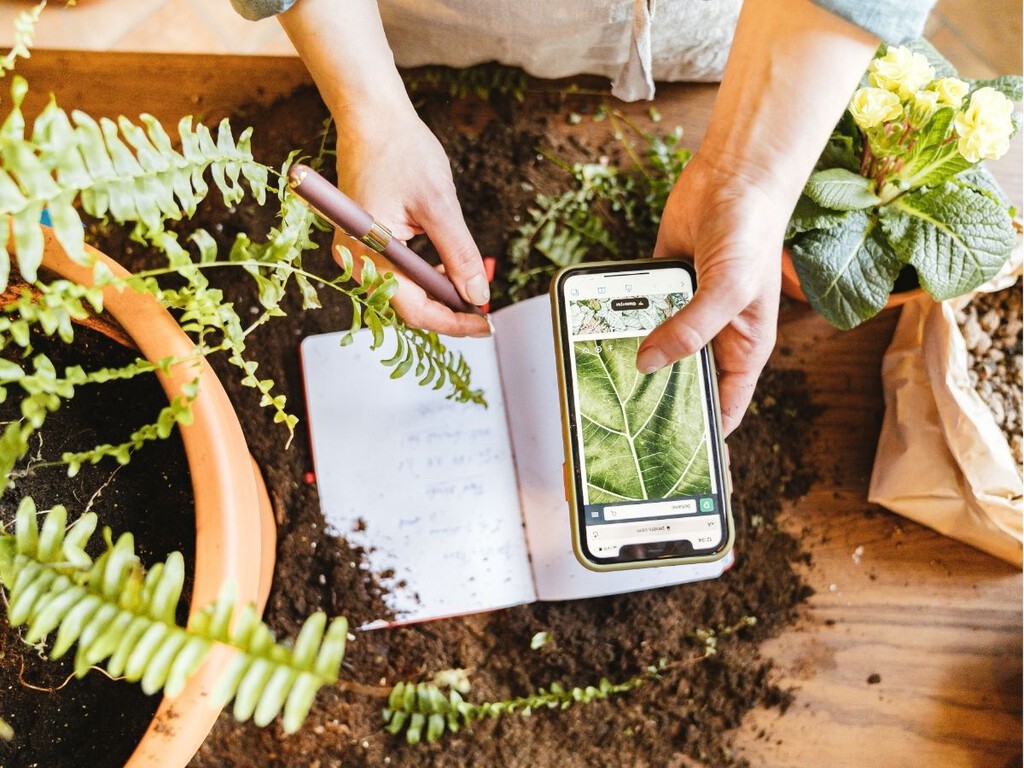 Las macetas inteligentes llegan para salvar a los asesinos de plantas