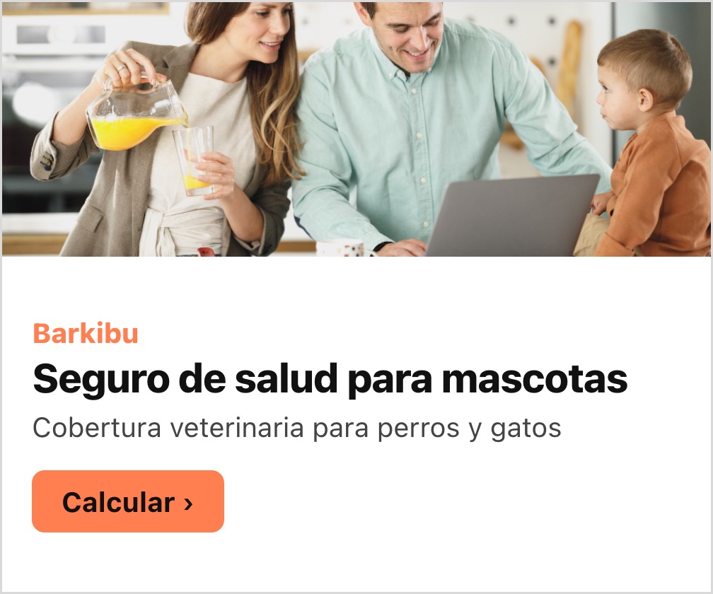 Barkibu