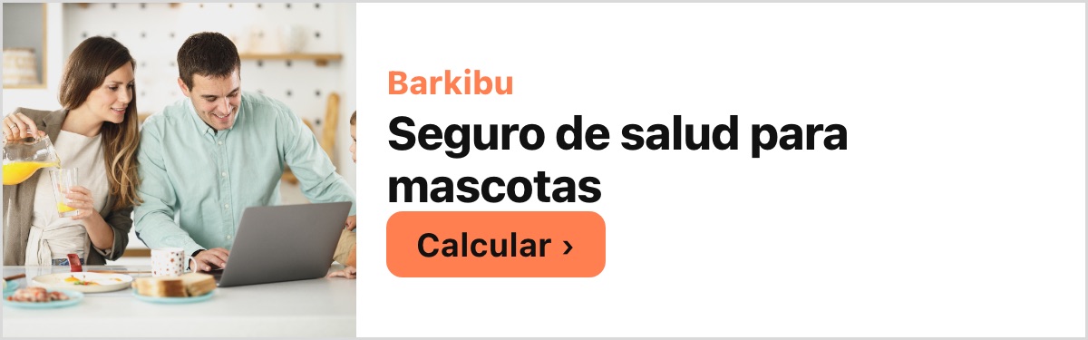 Barkibu