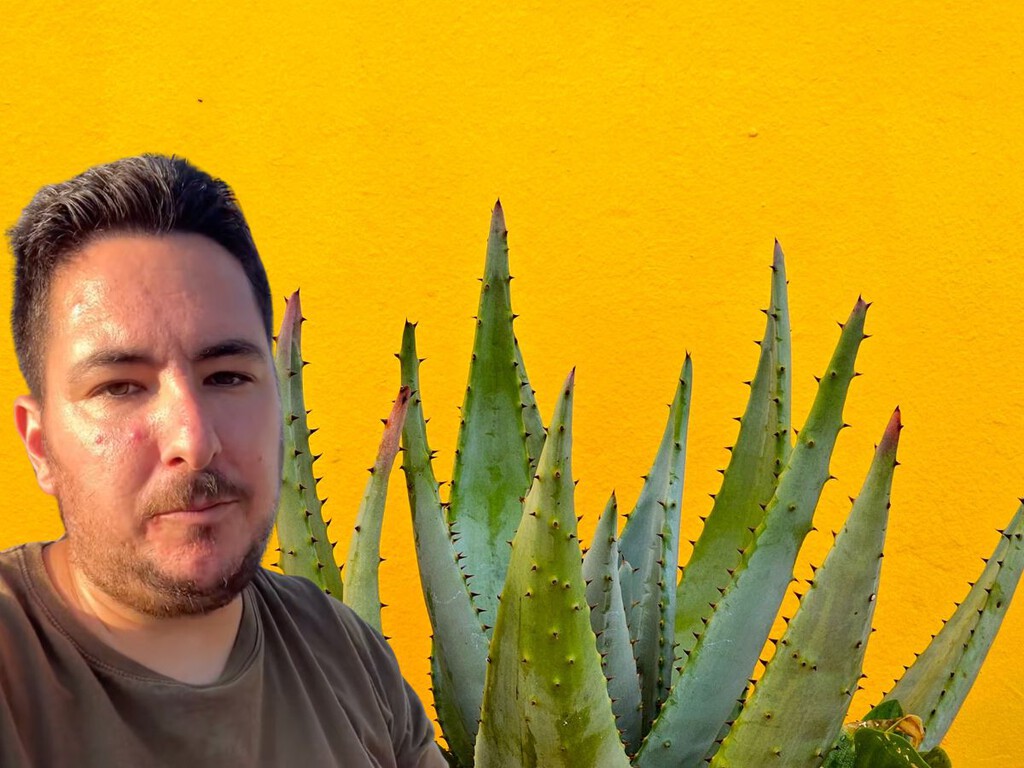 ¿Tu aloe vera se vuelve marrón? Un experto revela qué le está pasando realmente
