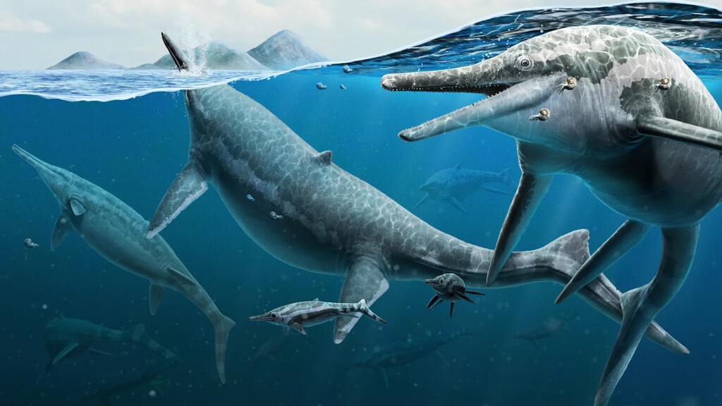 Un reptil marino de 192 millones de años reaparece en Asturias tras vivir oculto en un acantilado